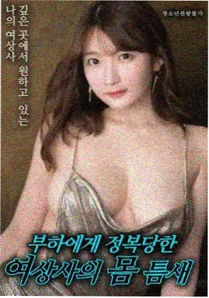 2k动漫上架资讯配图：双版分镜合并登记与编号标签