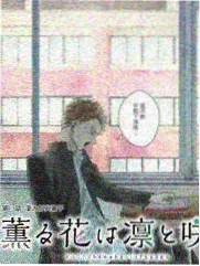 2k动漫档案卡《南窗物语》四季分格与原稿修正带